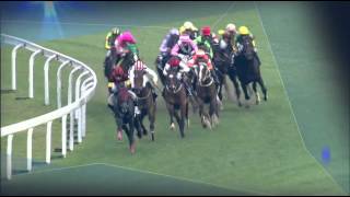 [HKIR 2015] LONGINES Hong Kong Cup Highlight