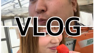 『VLOG』いちご狩りに行ってきたよ〜ん