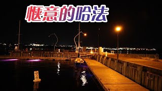 【加东自驾】EP13 继续体验哈法市区海港的日与夜/在偷车贼意式餐厅吃饭 看广场舞