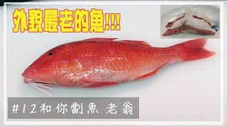 【職人教路 Omakase】老翁 オジサン【和你劏魚#12】