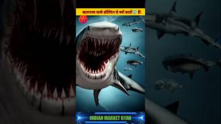 शार्क डॉल्फिन से क्यों डरती हैं?#animals #shorts #dolphin #shark