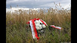 81st Anniversary of the Volhynia Tragedy: Remembering the Massacres of Poles