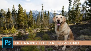 How to Blur the Background in Photoshop 2022 using Neural Filters