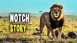 Notch - The Lion King Who Led with Courage and Wisdom  (Maasai Mara)