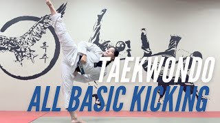 Taekwondo Basics: All Basic Kickings