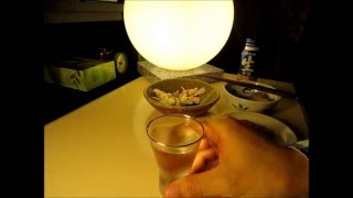 家飲み一人酒　~部屋と日本酒と私~　【酒動画】