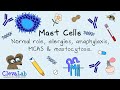 Mast Cells | Allergies, Anaphylaxis, MCAS & Mastocytosis.