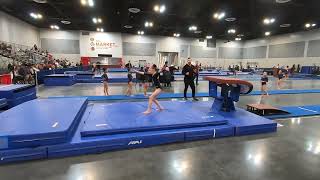 Malia Treanor Vault Glider Invite 2024 Wildfire Gymnast Level 4