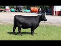 47th cowpower lot 20b