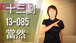 臺灣手語語料彙整【當然】13 085