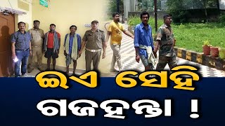 ଇଏ ସେହି ଗଜହନ୍ତା!   | Odisha Reporter