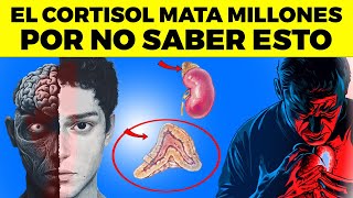 ¡Increíble! El Truco Natural Para El Cortisol, Adelgazar Y Curar Tus Nervios En Solo 1 Semana!