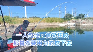 【福壽魚之章】一人包池，魚又會咬的快樂，那當然要用力的挖下去了！