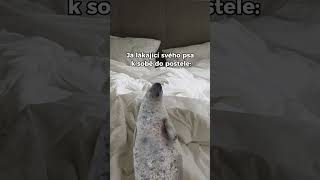 Děláte to taky? 🥹😅