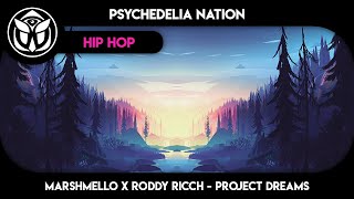 Marshmello x Roddy Ricch - Project Dreams