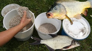 Bait for bream (Feed)