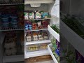 community fridge check in and donation from a grocery store