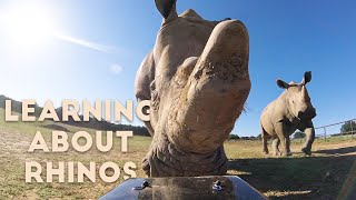 Learning about Rhinos with Fossil Rim