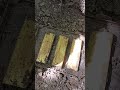 Gold bars in the box..oh my God!!!#treasure hunters #gold bars #yamashita treasure