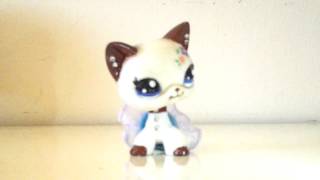 Playtube Pk Ultimate Video Sharing Website