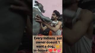 Every Indians pat owner doesn 't want a dog🦮 in-house ❤️#youtubeshorts#shorts#shortsvideo#doglover