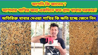 বাজরিগার পাখির খাবার || একদিনে কত গ্রাম দেওয়া দরকার জেনে নিন | budgie food ideas | Birds of village