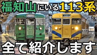 【続編】福知山にいる113系を紹介するぜ！