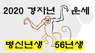 2020년 원숭이띠는 어떤 운이 들어 올까? 병신년_56년생