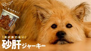 犬が大好きな手作りおやつ「砂肝ジャーキー」の作り方