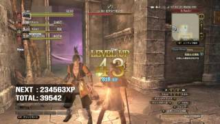 DDON ピクシーキングでパワレベ