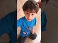 eyvah evİmİze kÖpek baliĞi gİrdİ kuzey ve hİra Çok korktular keşfet youtube funny pepe niloya