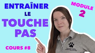 Module 2: 8-Apprendre le TOUCHE PAS | EDUCATION CANINE GRATUITE AVEC CHRISTINA POTVIN