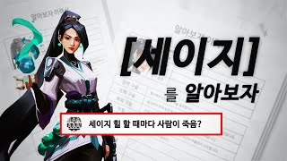 [발로란트] 세이지의 이력서