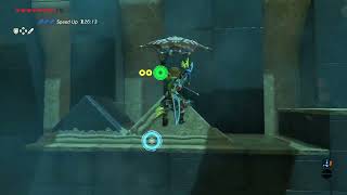 Breath of the Wild 100% NMG IL Shoda Sah (23.800s)