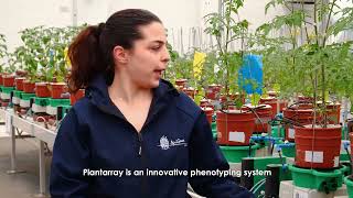 The PlantArray System: Users' View