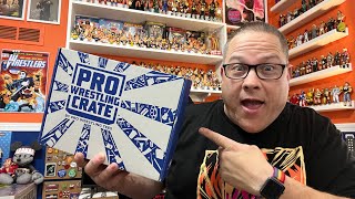 Pro Wrestling Crate unboxing - November 2024 - Parodies \u0026 More!  #PWCrate #prowrestlingtees