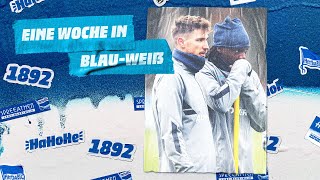 HaHoHe - Eine Woche in Blau-Weiß | 15. Spieltag | Hertha BSC vs. DSC Arminia Bielefeld