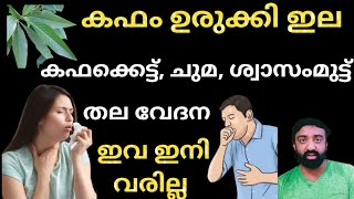 കഫക്കെട്ട്, ചുമ, ശ്വാസംമുട്ട്, തലവേദന ഇവ ഒരിക്കലും ഇനി വരില്ല