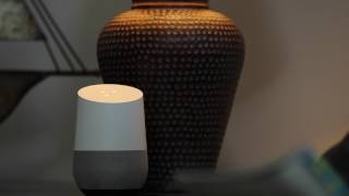 Lutron Caséta Wireless works with the Google Assistant