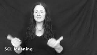 Semantic Classifier
