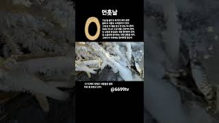 아무리 추워도 올해 얼어죽지 않는 남자가 좋아하는 노래 #travel #ice