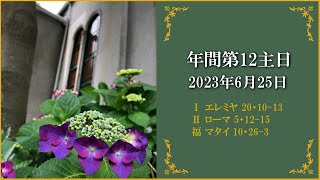 2023年6月25日　年間第12主日