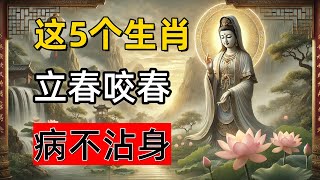 這5個生肖註意了：立春咬春，病不沾身，咬出2025年好運勢，好身體！#心境流光#運勢解析#屬相解析#生肖#生肖運勢#佛學#佛法#禪修#冥想#心境修養#心境修行