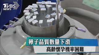 卵子品質數量下滑　高齡懷孕機率困難