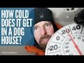 How Cold Does It Get in a Dog House? Dr. Ernie Ward