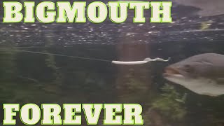 Bigmouth Forever : A Largemouth Bass Documentary (1996) - Tribute to Glen Lau