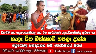 වනජීවි සහ වන සංරක්ෂණ දෙපාර්තමේන්තු අවශ්‍ය නෑ | කැලෑ ටික ඔක්කොම කපලා දාන්න.