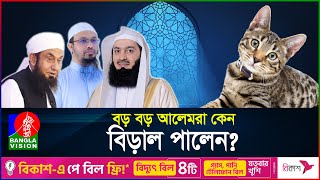 আলেমরা কেন বিড়াল পালেন? | Cat in Islam | Cats | BanglaVision