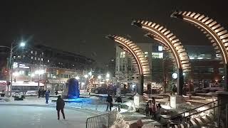 Uptown Waterloo Winter Wonderland - clip 194502116