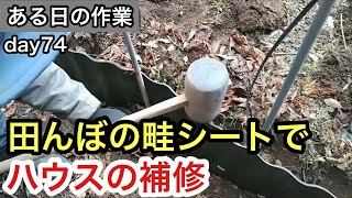 「ある日の作業」day74。農家の日常の1コマ！今回はハウスの補修。